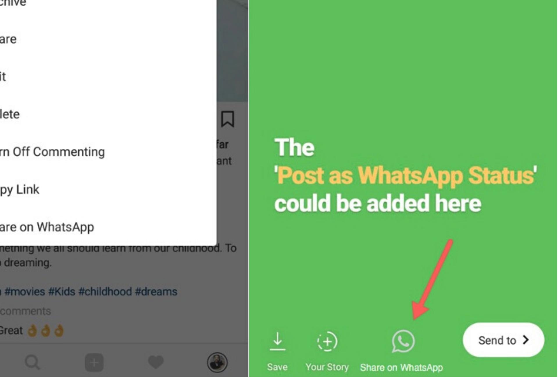 WhatsApp Query Button