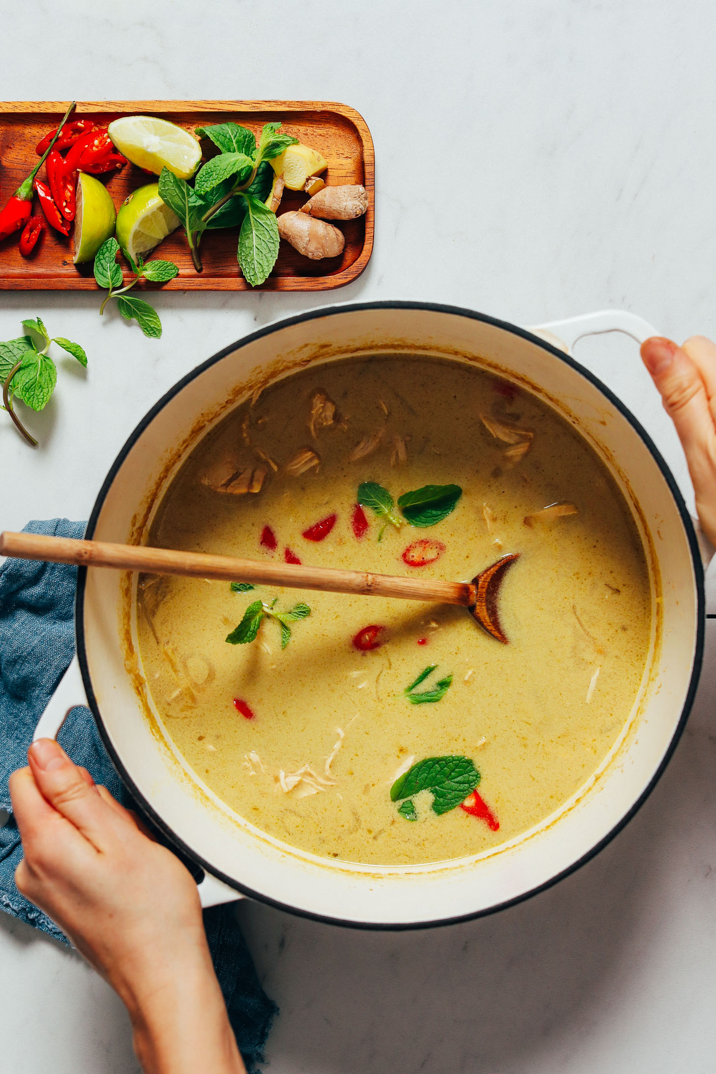 Holding the handles of a pot of Thai-Inspired Chicken Noodle Soup topped with fresh mint