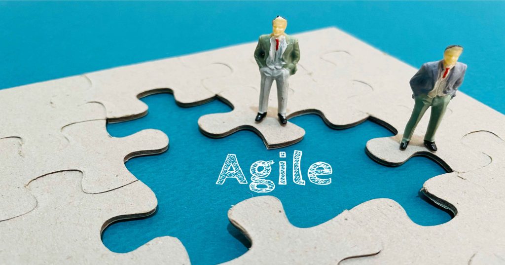 agile web solutions for website project