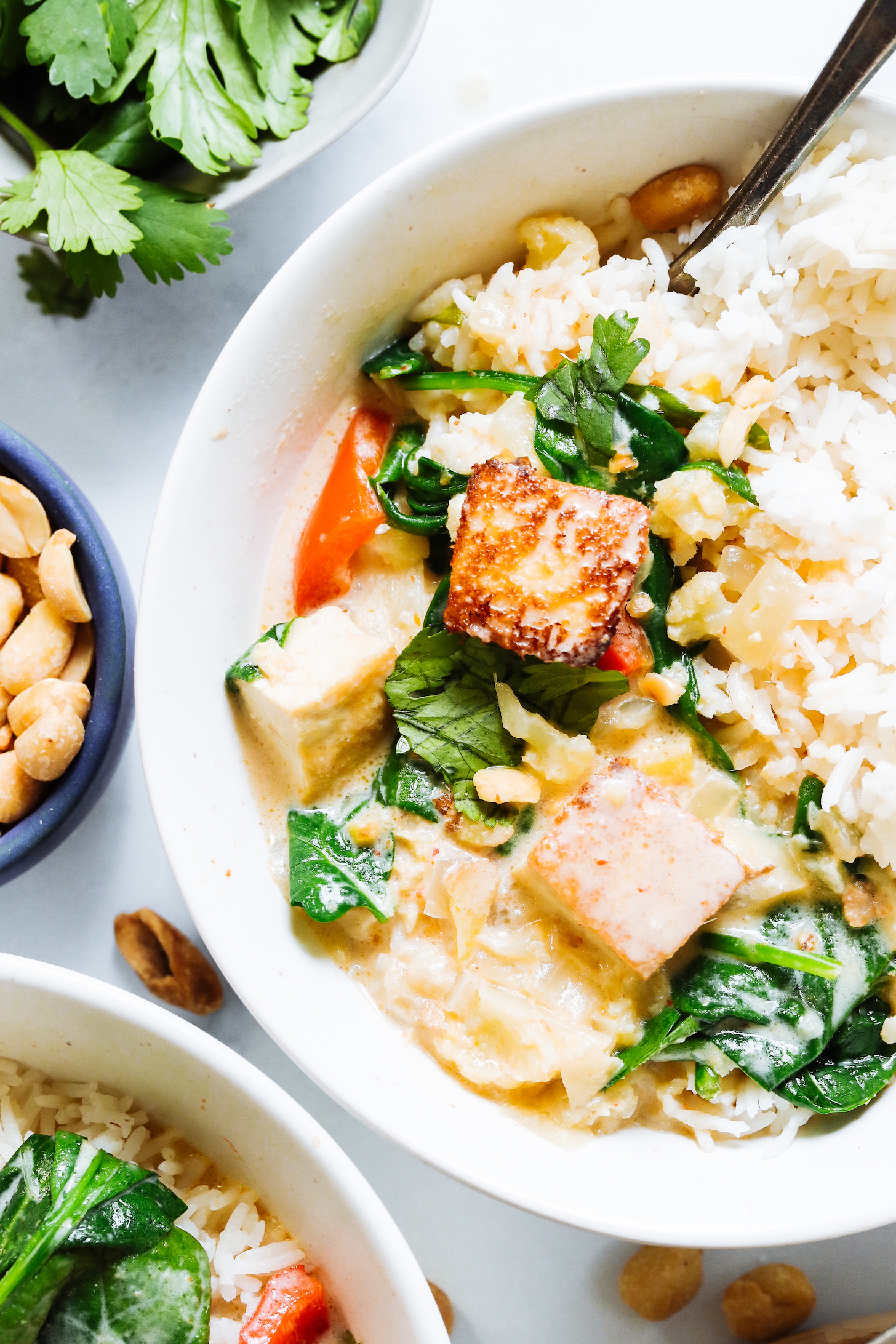 Close up shot of vegetable panang curry with tofu served over rice