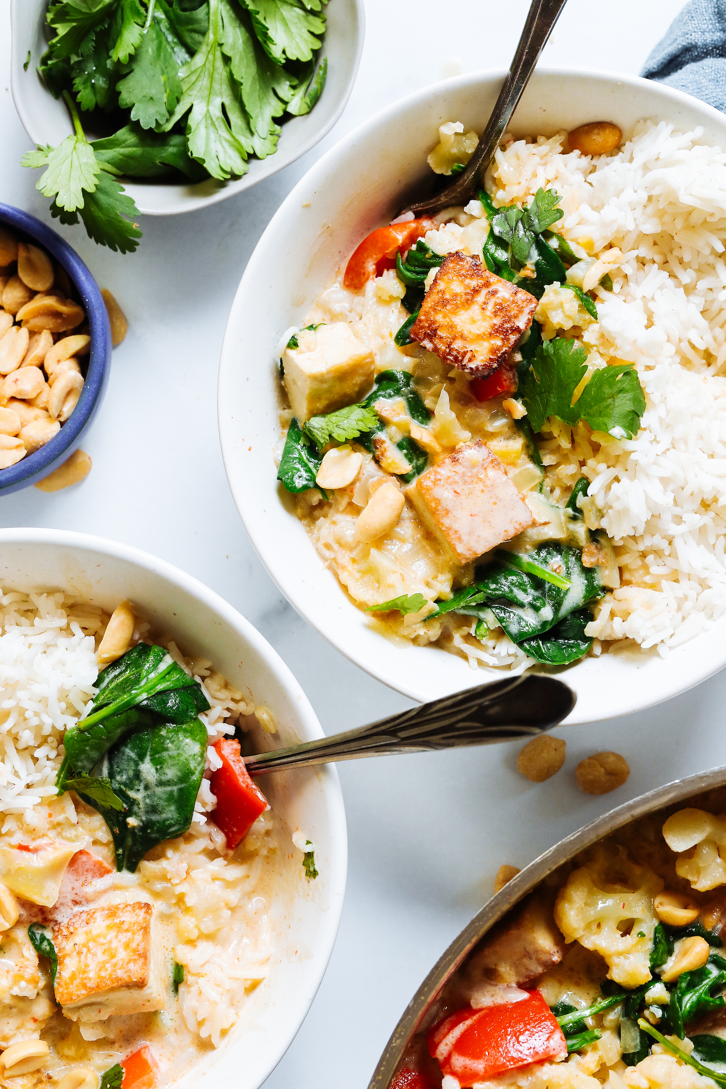 Serving bowls of vegetable panang curry with white rice