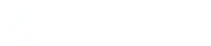 Wellsons Logo
